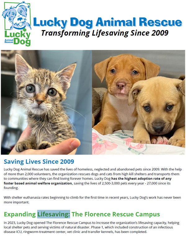 Animal Rescue Organizations